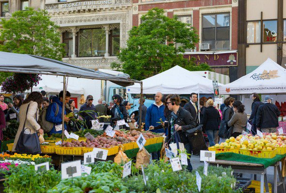 cg6.jpg farmers market