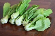bok choi d25.jpg