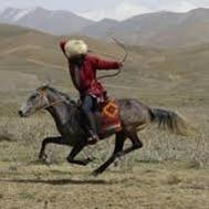 mongol horseman y4.jpg