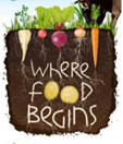 where food begins