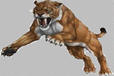sabre toothed tiger