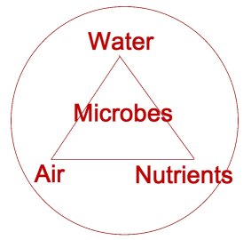 air water and nutrients