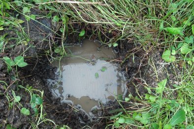 hole for wicking basket